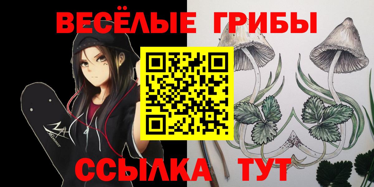 Баксан  Галлюциногенные грибы Cubensis  Вход с VPN 